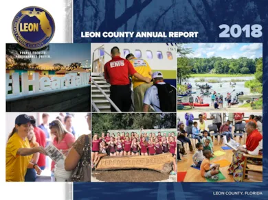 2018 Annual Report Annual Budget graphic